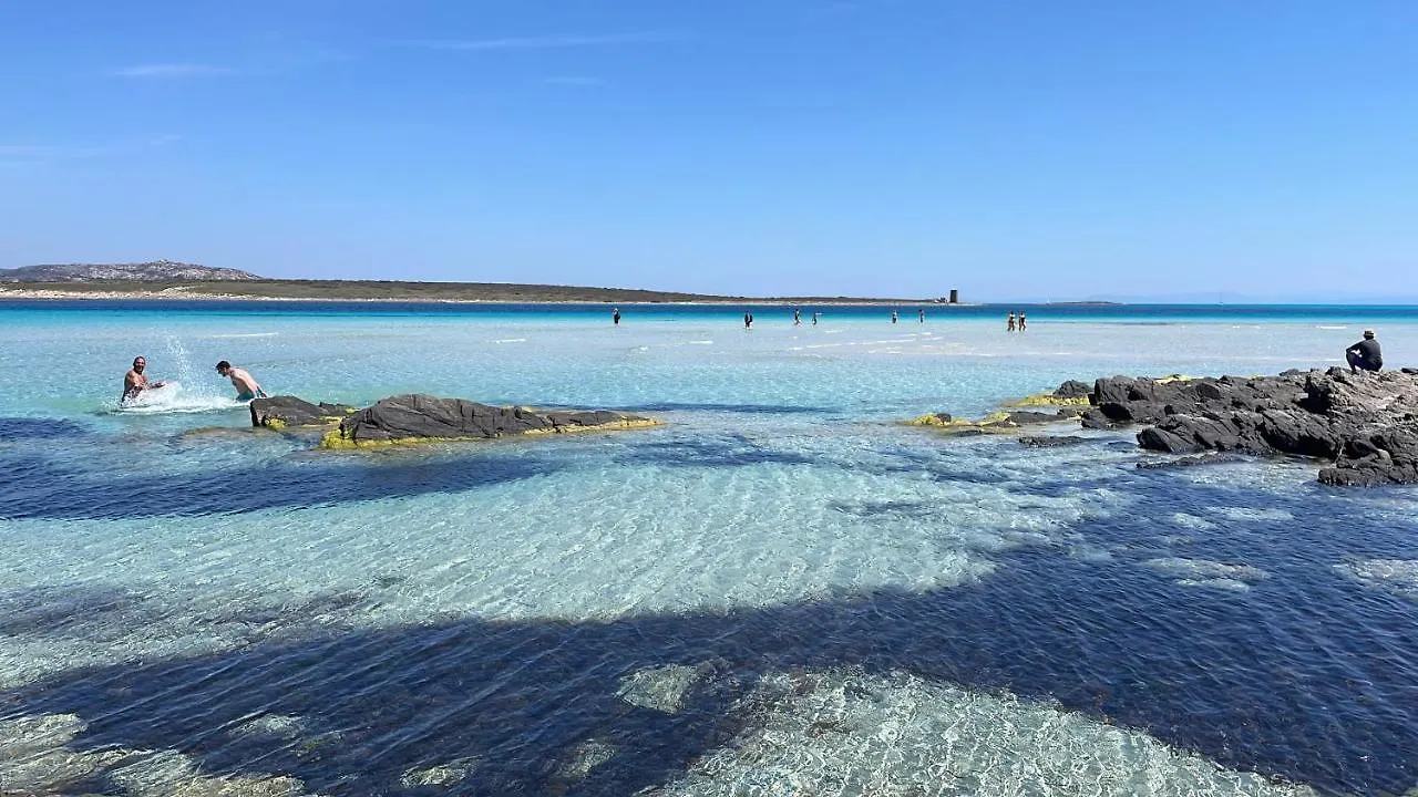 I Pescatori di Stelle-O15 ACRUX Villa Stintino
