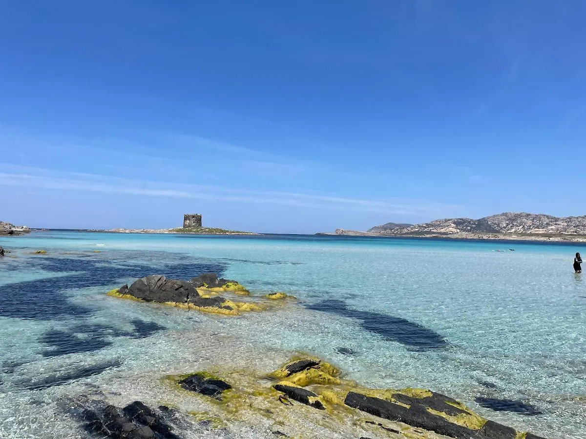 I Pescatori di Stelle-O15 ACRUX Villa Stintino 0*,